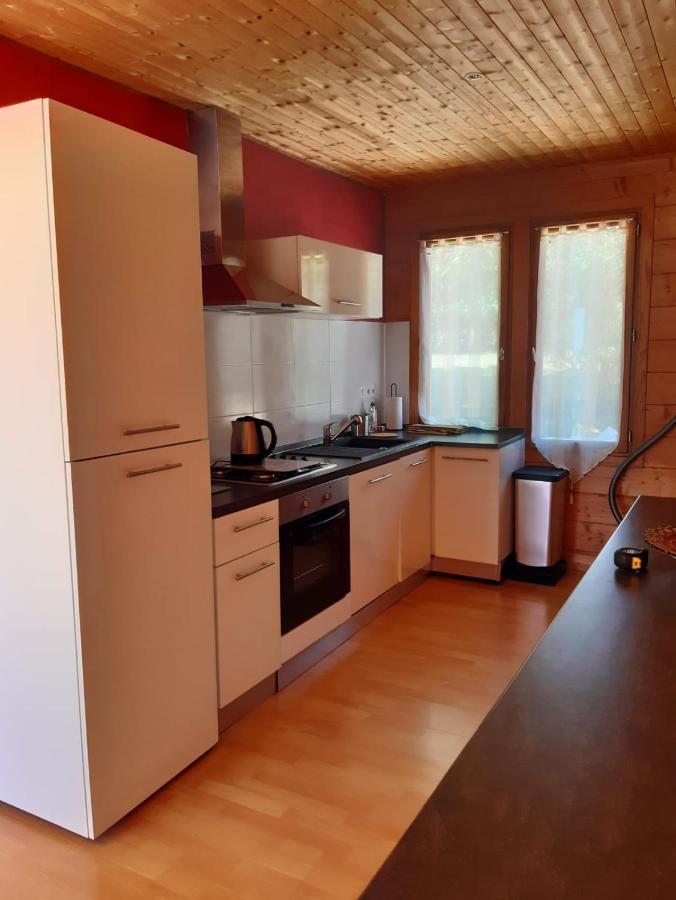 Villa La Voie De L'Hirondelle Saint-Leon-sur-Vezere Esterno foto